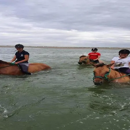 In Quend-plage Near The Sea Quend