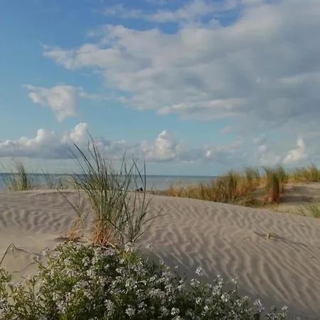 In Quend-plage Near The Sea Semesterbostad