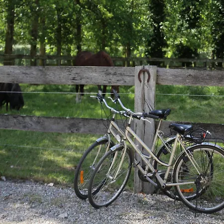 In Quend-plage Near The Sea